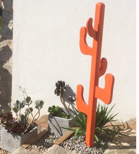 Cactus rouge